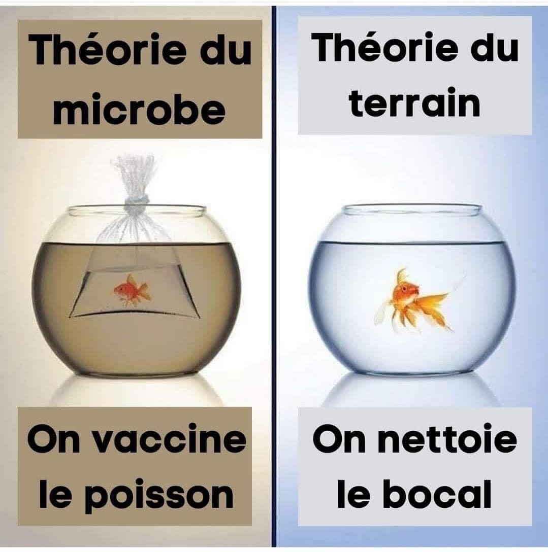 La notion de terrain en santé